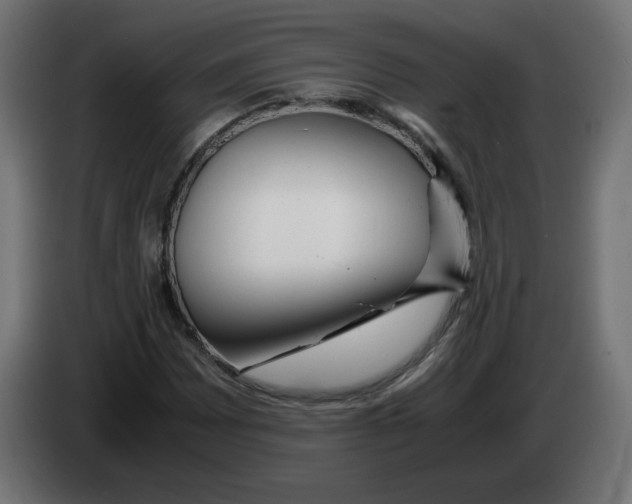 X0000083011065200703021935