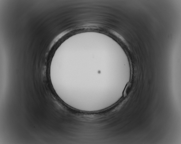 X0000083011066200703021935