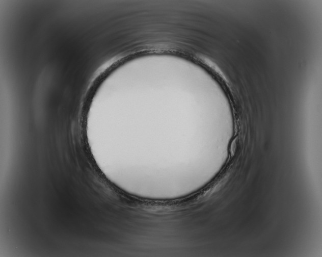 X0000083011071200703021935