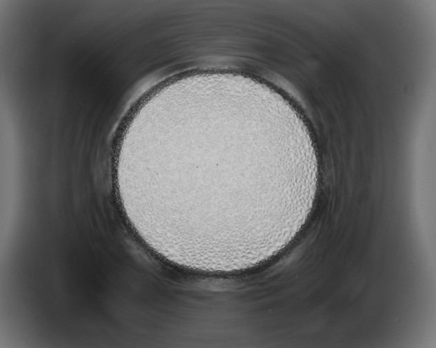 X0000083011075200703021935