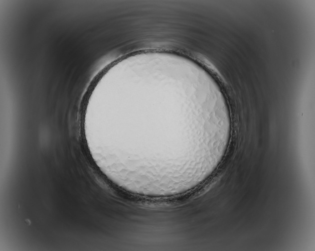 X0000083011079200703021935