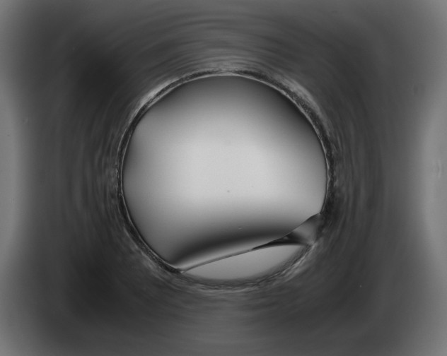 X0000083011081200703021935