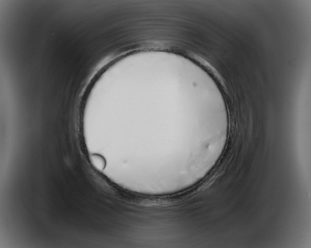 X0000083011083200703021935