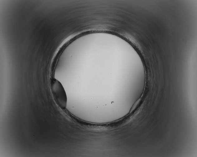 X0000083011085200703021935