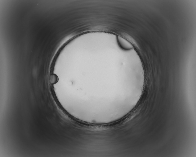 X0000083011087200703021935