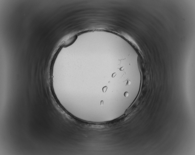 X0000083011088200703021935