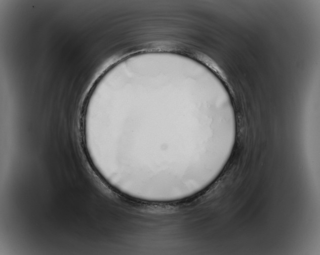 X0000083011091200703021935