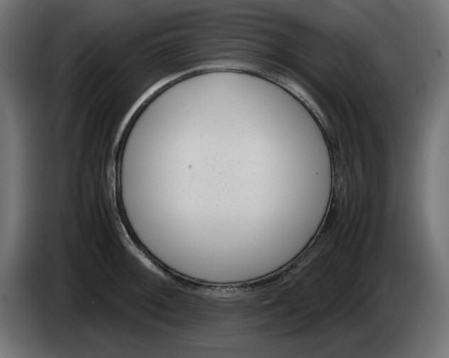 X0000083011092200703021935