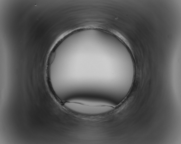 X0000083011093200703021935