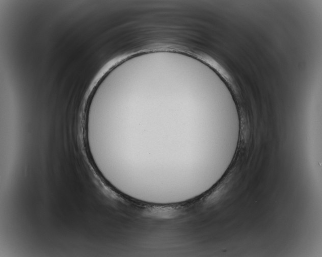 X0000083011094200703021935