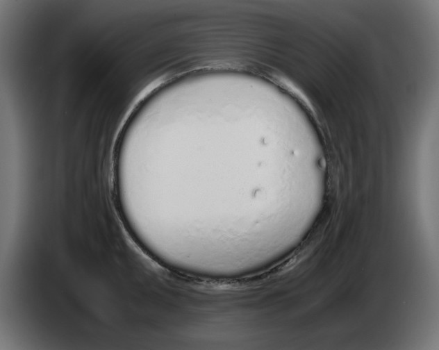 X0000083011095200703021935