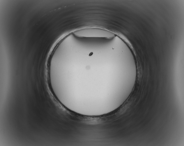 X0000083011096200703021935