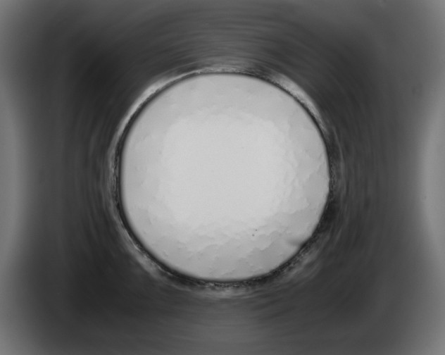 X0000083011099200703021934