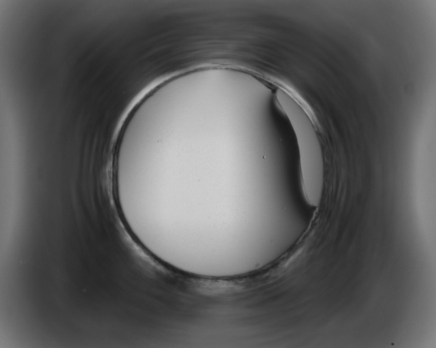 X0000083011100200703021934