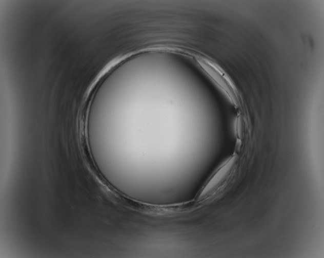 X0000083011101200703021934