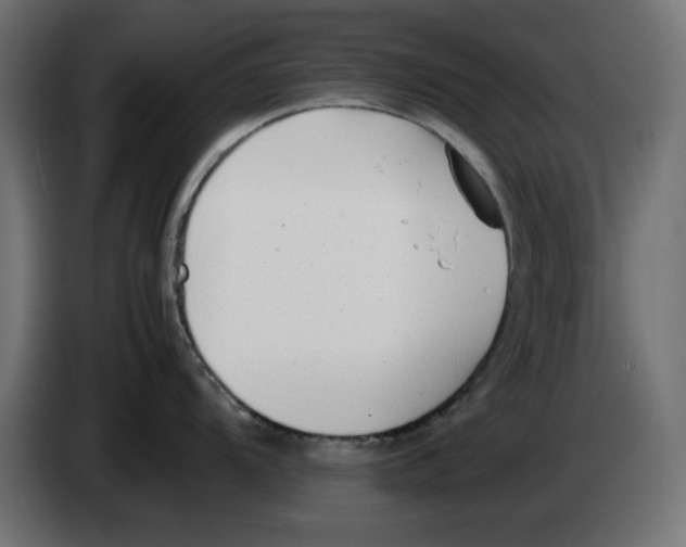 X0000083011104200703021934