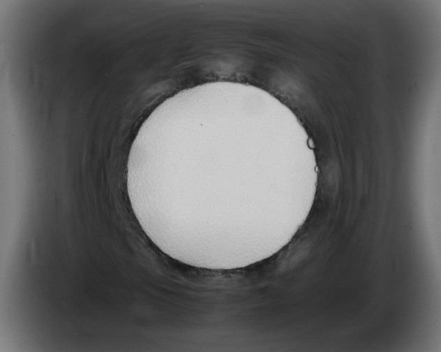 X0000083011105200703021933