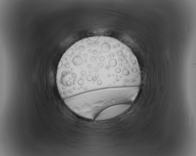 X0000083011106200703021934