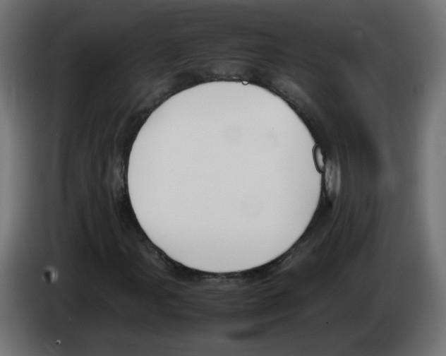 X0000083011107200703021934