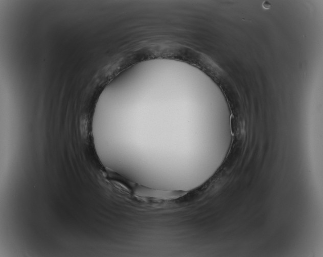 X0000083011108200703021934