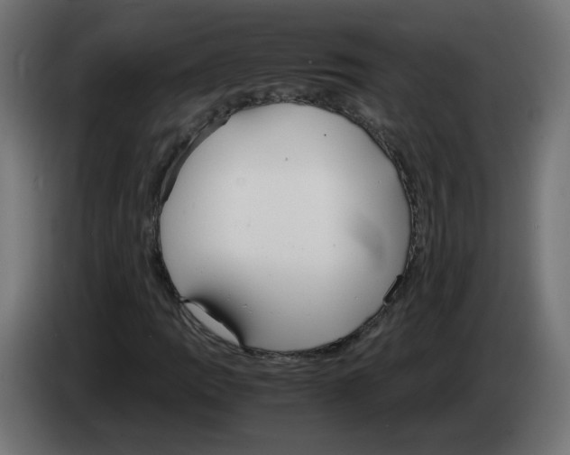 X0000083011109200703021934