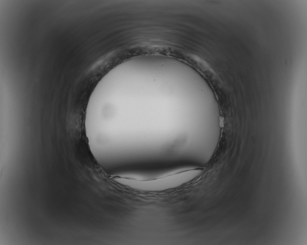 X0000083011110200703021934