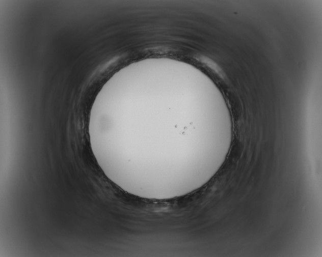 X0000083011111200703021934