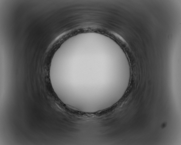 X0000083011112200703021934