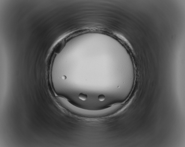 X0000083011114200703021934