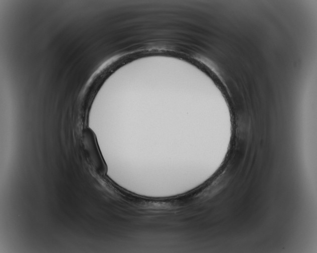 X0000083011115200703021934