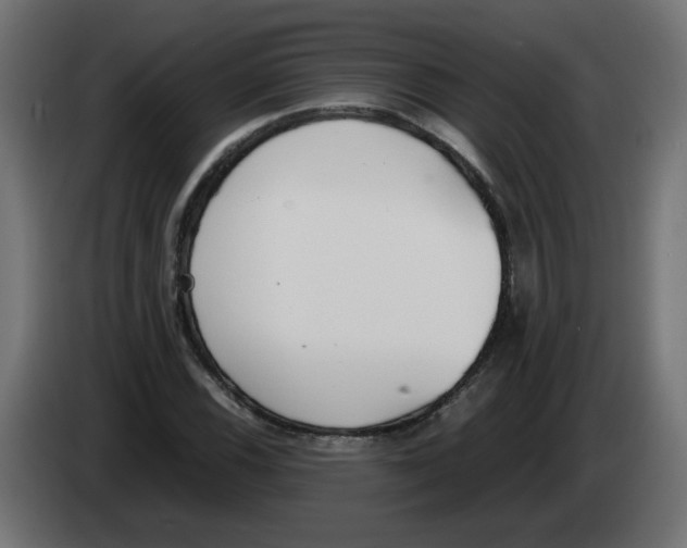 X0000083011116200703021934