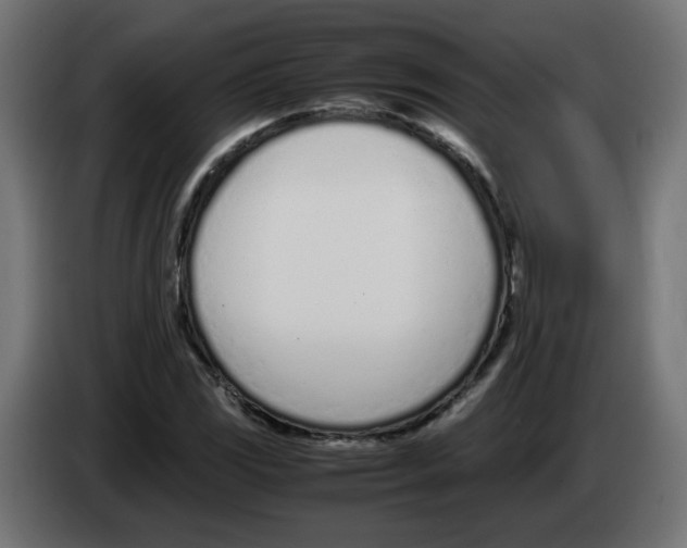 X0000083011117200703021934