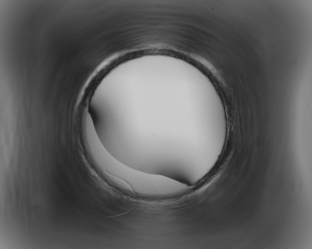 X0000083011118200703021934