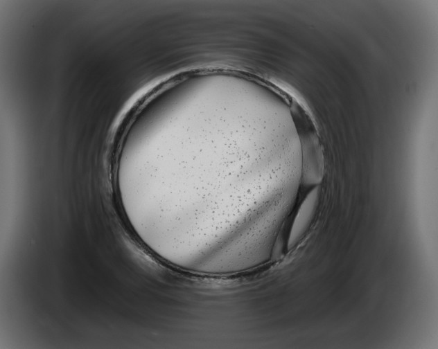 X0000083011120200703021934