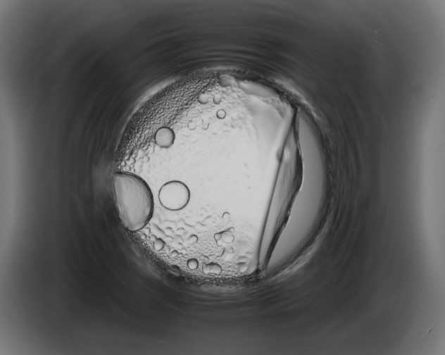 X0000083011121200703021934