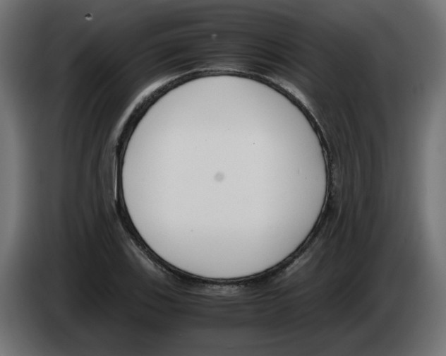 X0000083011123200703021934