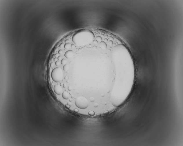 X0000083011126200703021934