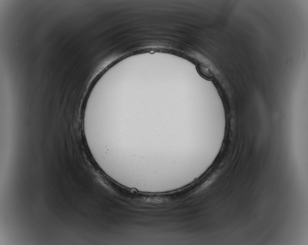 X0000083011129200703021934