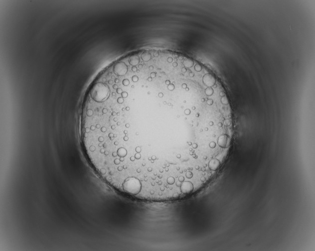 X0000083011130200703021934