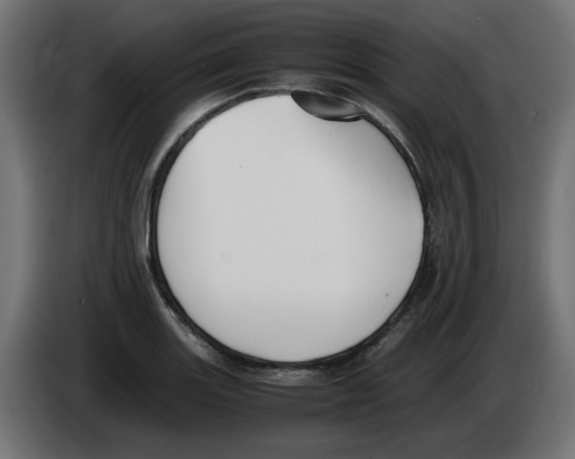 X0000083011131200703021934