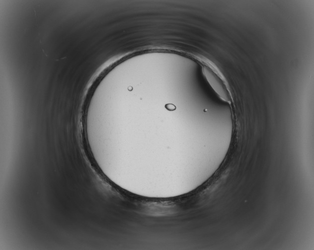 X0000083011133200703021934