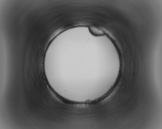 X0000083011137200703021934