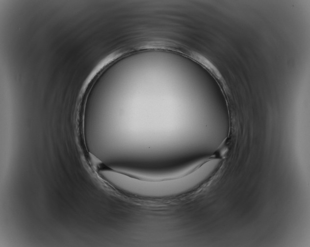 X0000083011138200703021934