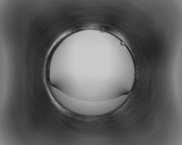 X0000083011139200703021934