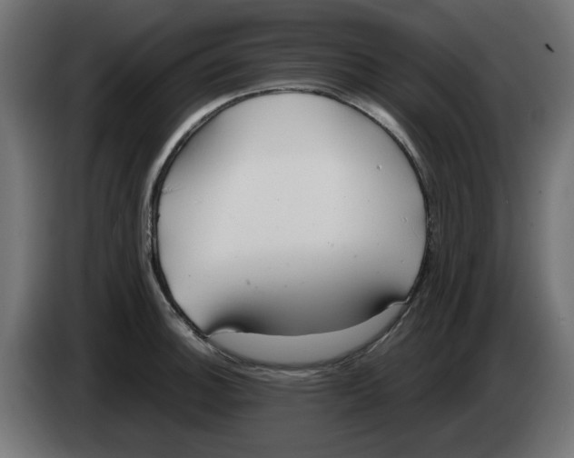 X0000083011140200703021934