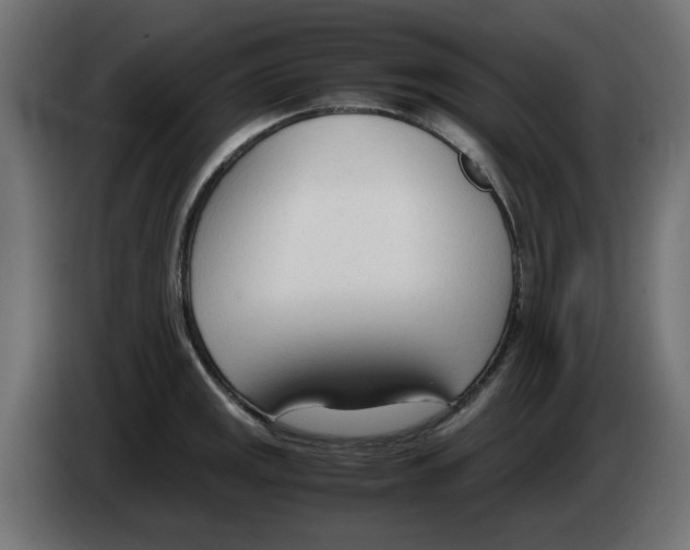 X0000083011141200703021934