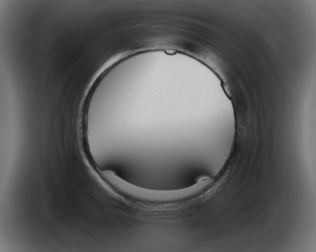 X0000083011142200703021934