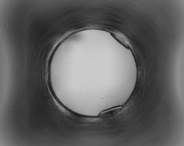 X0000083011143200703021934