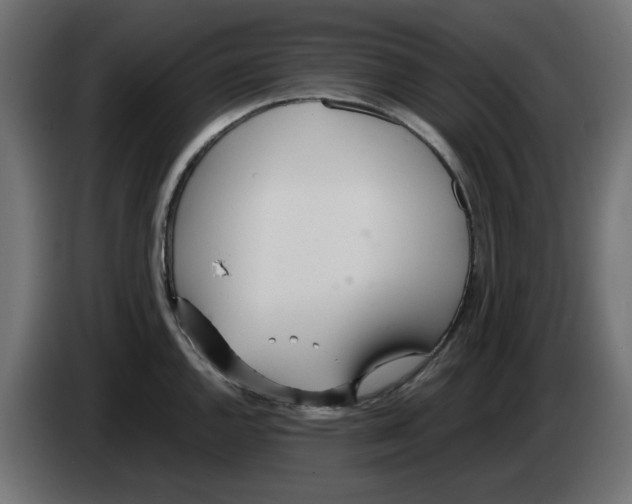 X0000083011144200703021934