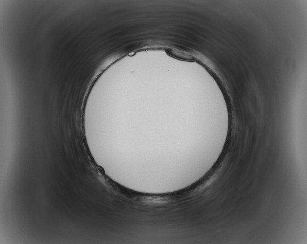 X0000083011145200703021934